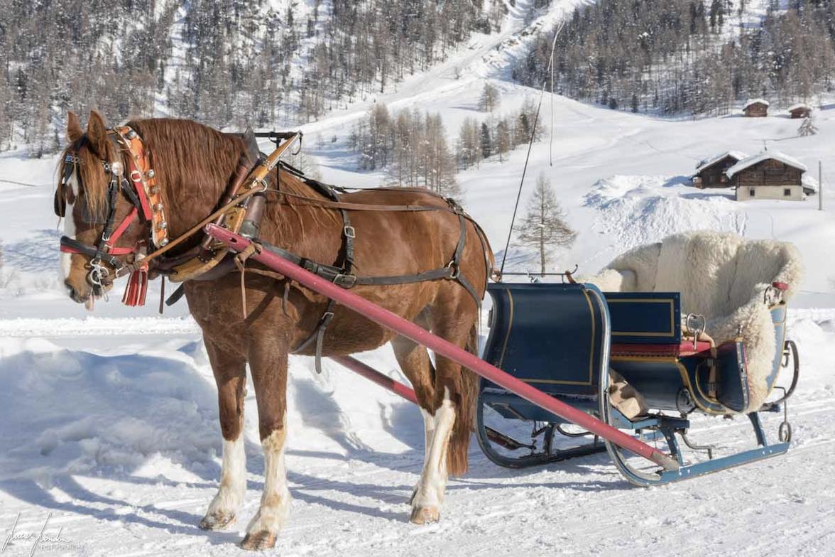 Cosa fare in Valtellina: attività per una vacanza indimenticabile