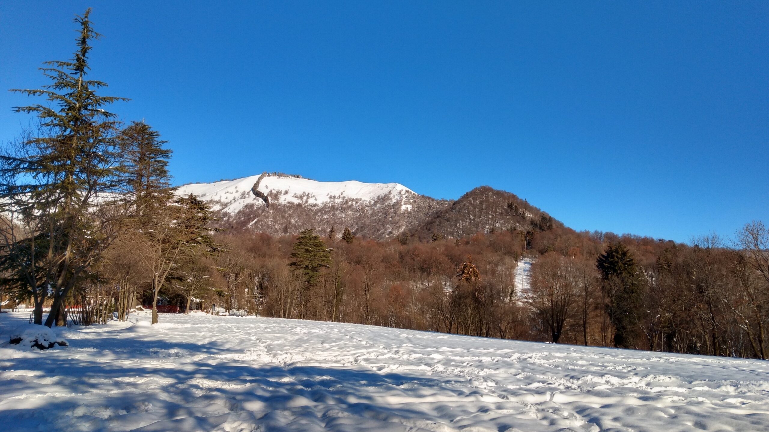 Monte Boletto e Bolettone: Percorso ad Anello da Brunate