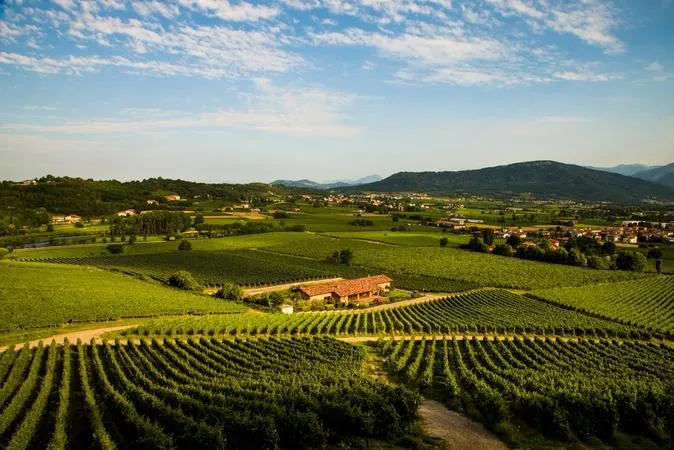 Giro in quad in Franciacorta
