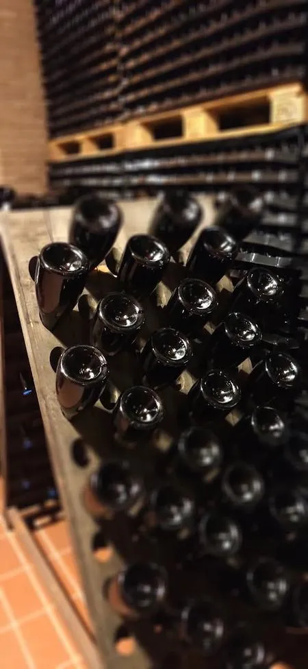 Giro in quad in Franciacorta