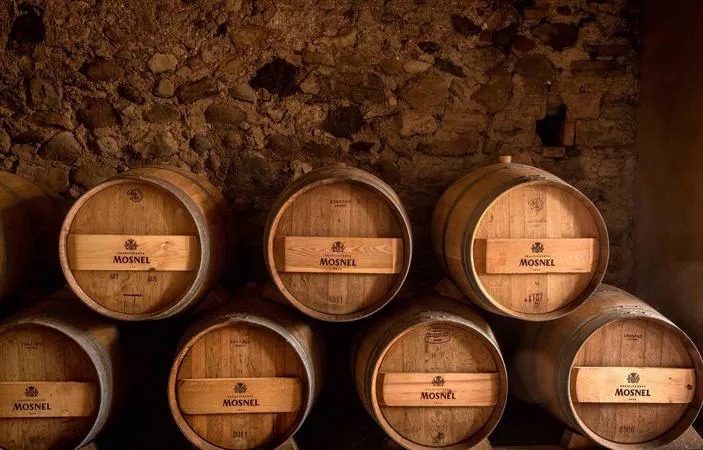 Degustazione vini e visita alla cantina Mosnel in Franciacorta