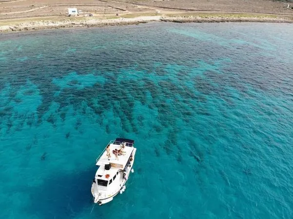 Escursione in barca dal porto di Favignana con pranzo e snorkeling