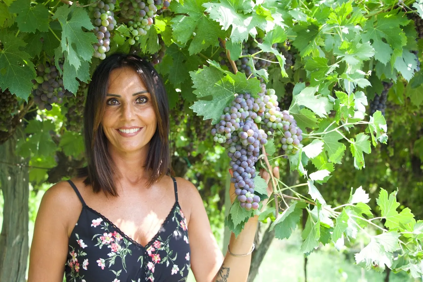 Visita alla cantina Corte Borghetti con degustazione vini, salumi e formaggi