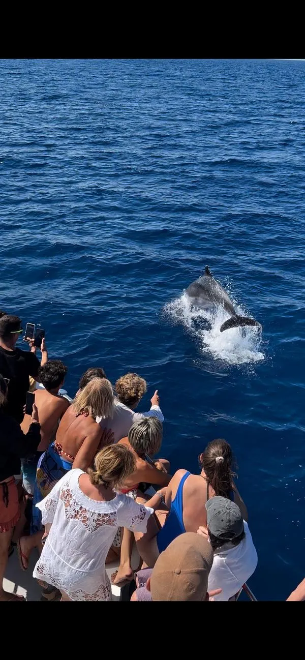 Minicrociera pomeridiana al relitto e alla Grotta Azzurra dell'Elba da Marina di Campo