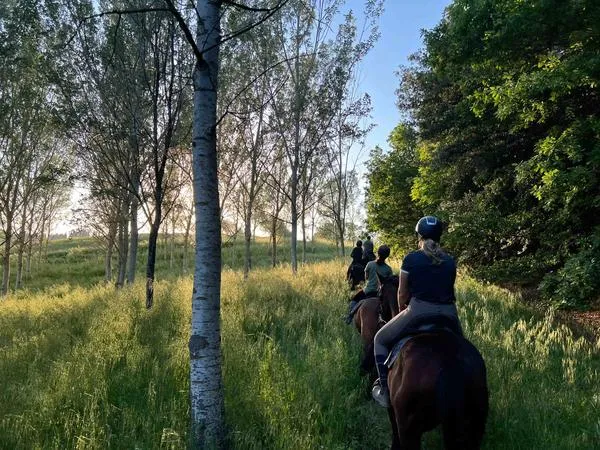 Passeggiata a cavallo a Siena con degustazione di prodotti tipici