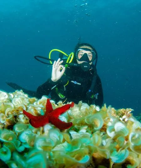 Escursione in barca con battesimo del mare da Porto Santo Stefano