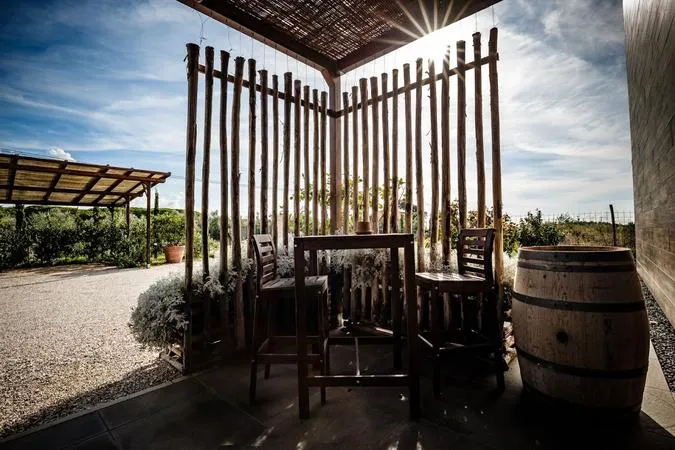 Degustazione vini e visita alla Cantina Villanoviana a Castagneto Carducci