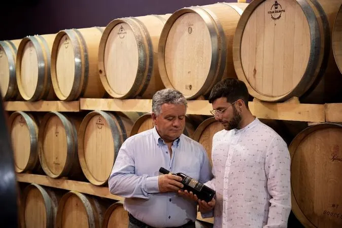 Degustazioni vini e olio alla cantina La Ciarliana sulle colline di Montepulciano