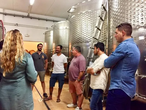 Degustazioni vini e olio alla cantina La Ciarliana sulle colline di Montepulciano