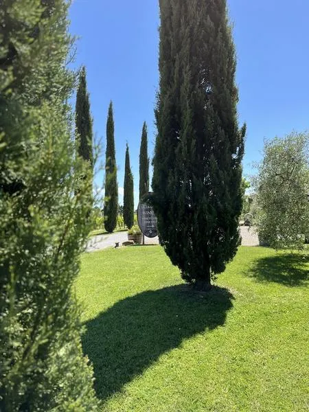 Degustazioni vini e olio alla cantina La Ciarliana sulle colline di Montepulciano