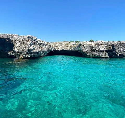 Tour in barca in esclusiva da Torre Vado
