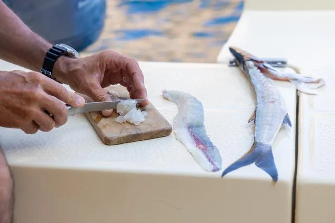 Tour in barca in esclusiva da Torre Vado