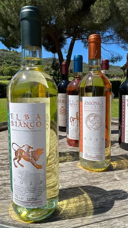 Degustazione vini guidata ad Acquabona