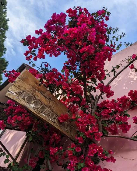 Degustazione vini guidata ad Acquabona