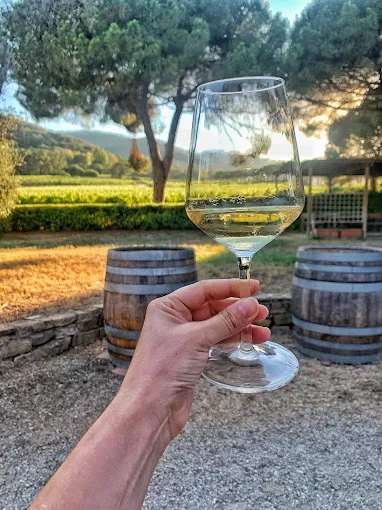 Degustazione vini guidata ad Acquabona