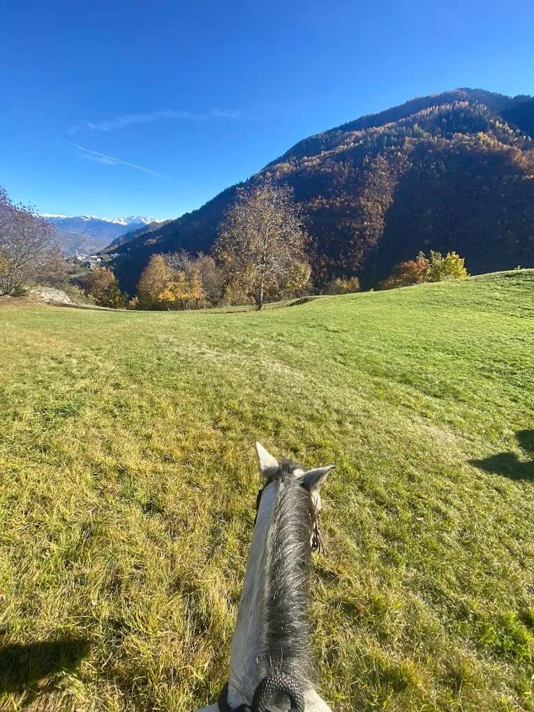 Passeggiata a cavallo in Valtellina ad Albosaggia