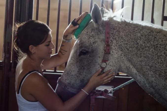 Passeggiata a cavallo con aperitivo nell'Oltrepò Pavese a Rivanazzano Terme