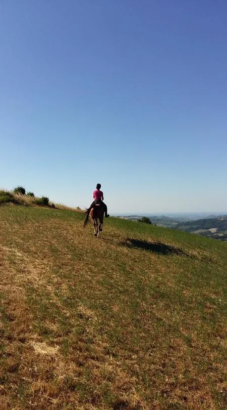 Passeggiata a cavallo con aperitivo nell'Oltrepò Pavese a Rivanazzano Terme