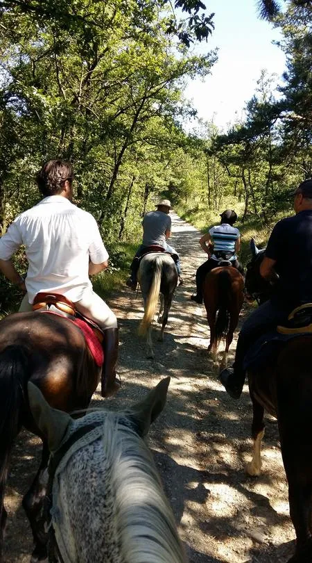 Passeggiata a cavallo con aperitivo nell'Oltrepò Pavese a Rivanazzano Terme