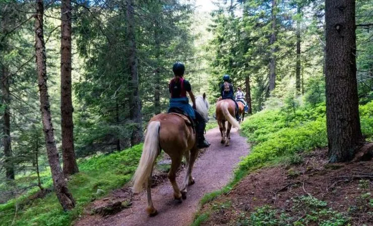 Passeggiata a cavallo in Val di Sole e pranzo in agriturismo