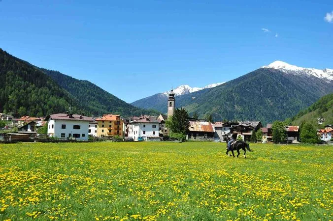 Passeggiata a cavallo in Val di Sole e pranzo in agriturismo