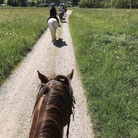Passeggiata a cavallo in Val di Sole e pranzo in agriturismo