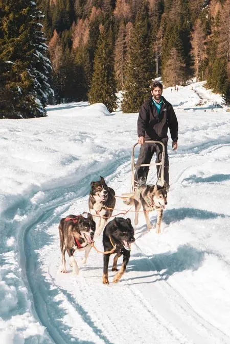 Sleddog a Madonna di Campiglio con i cani da slitta
