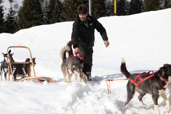 Sleddog a Madonna di Campiglio con i cani da slitta