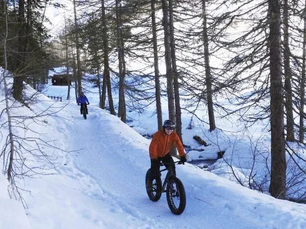 Fat bikes Easy Tour a Livigno