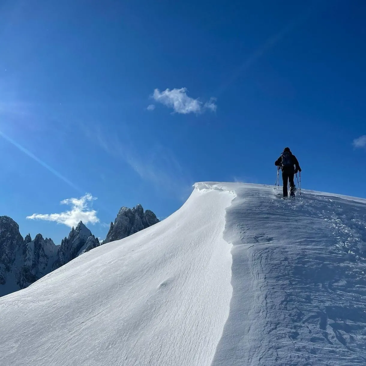 Ciaspolata tra i boschi al Passo Giau da Cortina