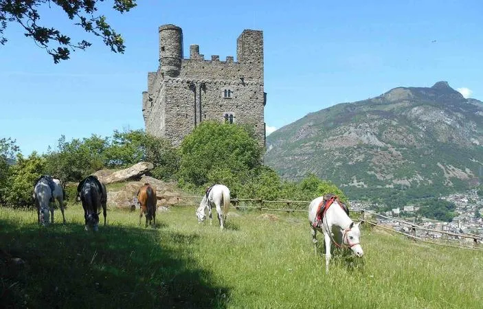 Passeggiata a cavallo al Castello di Ussel in Valle d'Aosta