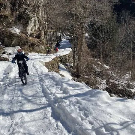 Fat bikes tour in Val Genova tra Pinzolo e Madonna di Campiglio