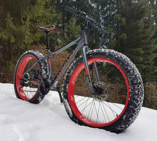 Fat bikes tour in Val Genova tra Pinzolo e Madonna di Campiglio