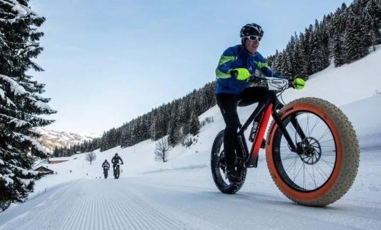 Fat bikes tour in Val Genova tra Pinzolo e Madonna di Campiglio