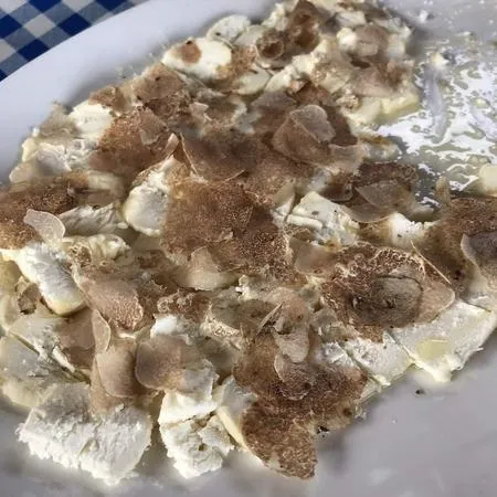 Caccia al tartufo e aperitivo nelle Langhe