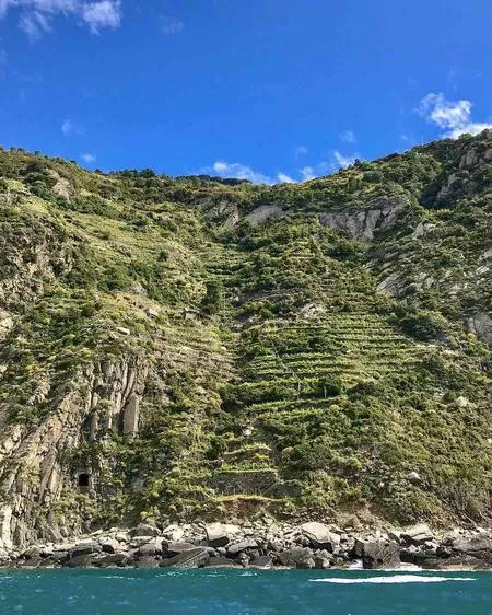 Giro in barca privato alle 5 Terre da Riomaggiore