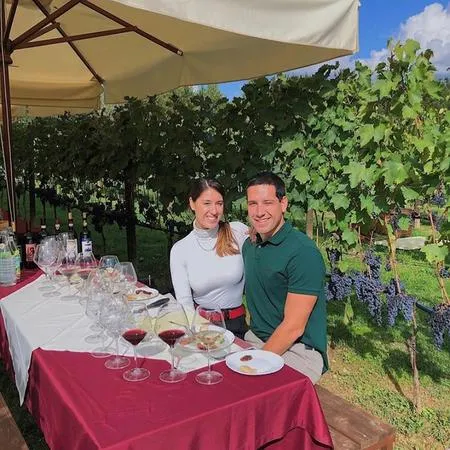 Pranzo tra i vigneti e degustazione vini a San Gimignano