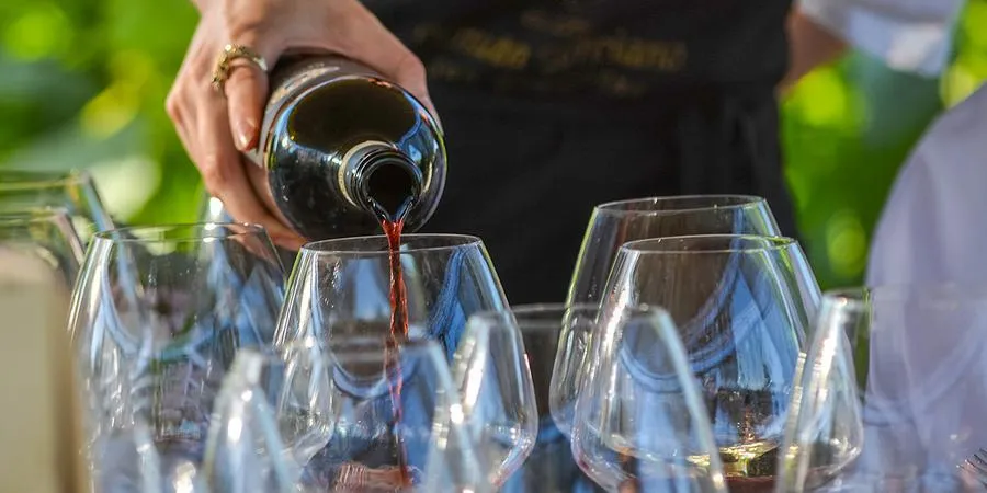 Pranzo tra i vigneti e degustazione vini a San Gimignano