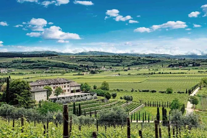 Visita in cantina e degustazione di vini alle Tenute Ugolini