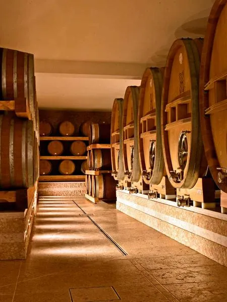 Visita in cantina e degustazione di vini alle Tenute Ugolini
