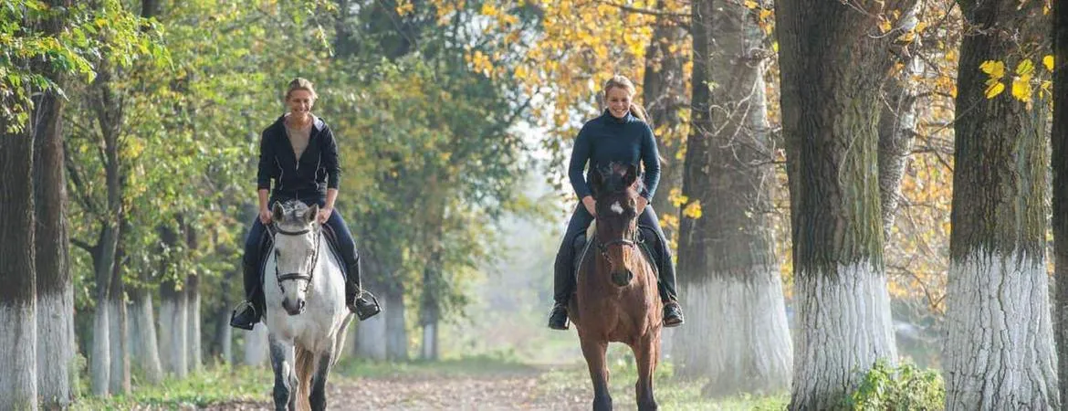 Gita a cavallo tra i vigneti e degustazione a San Gimignano