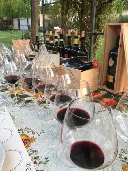 Gita a cavallo tra i vigneti e degustazione a San Gimignano