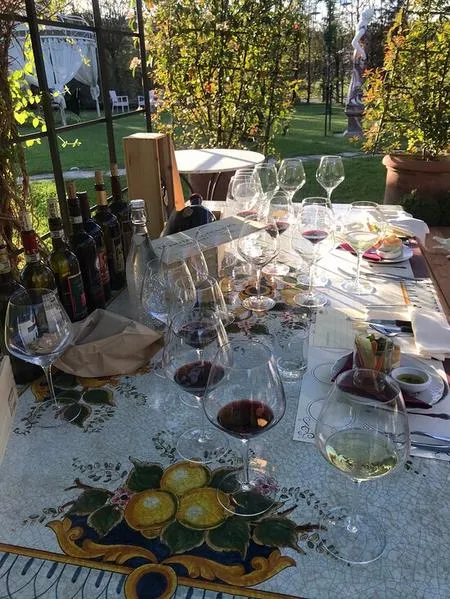 Gita a cavallo tra i vigneti e degustazione a San Gimignano