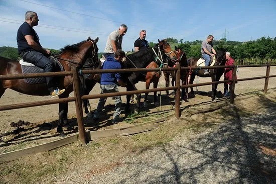 Gita a cavallo tra i vigneti e degustazione a San Gimignano