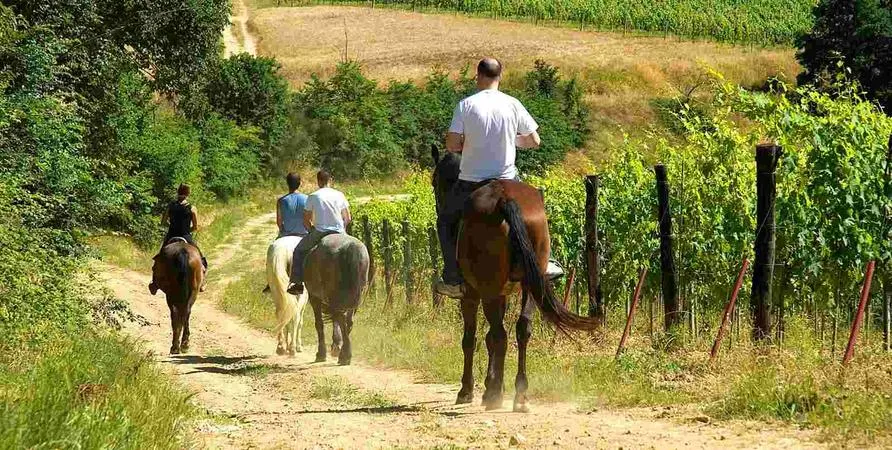 Passeggiata a cavallo a San Gimignano