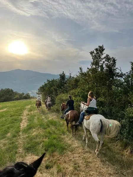 Passeggiata a cavallo con pranzo in agriturismo sotto il Cimone