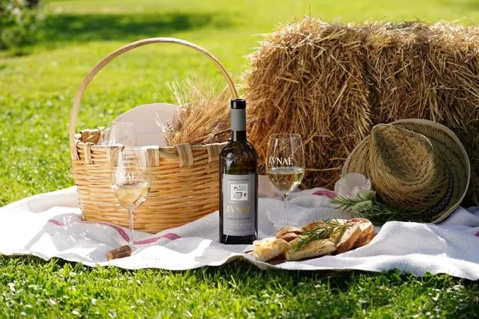 Visita e degustazione alle Cantine Lunae con merenda