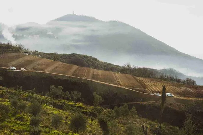 Visita e degustazione alle Cantine Lunae con merenda