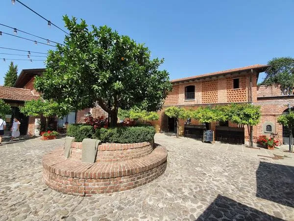 Visita e degustazione alle Cantine Lunae con merenda