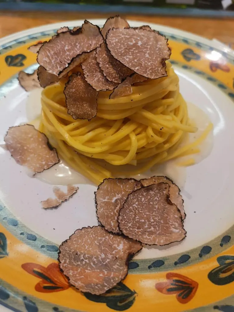 Ricerca tartufo nel bosco e pranzo al tartufo a San Gimignano
